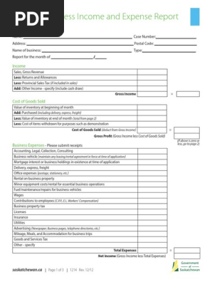 Monthly Business Expense Report