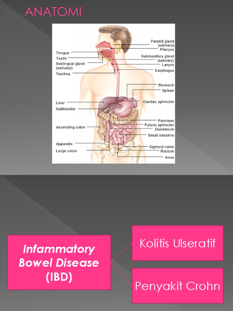 Pathway Penyakit Crohn dan IBD | PDF