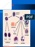 Morfologija Krvnih Stanica Anizocitoza Poikilocitoza PDF
