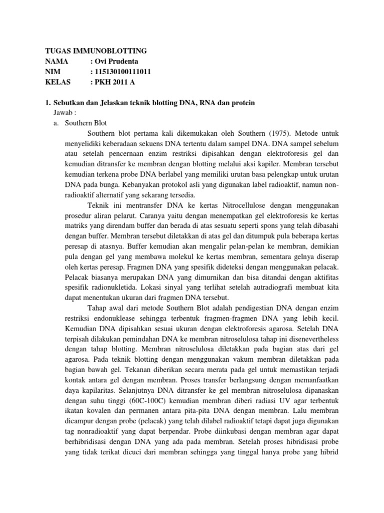 Teknik Blotting DNA, RNA Dan Protein | PDF