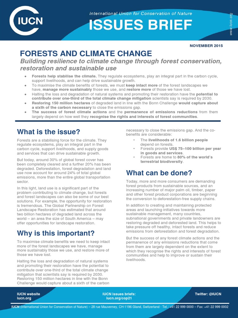 Forests Help Stabilize Climate Through Conservation | PDF ...