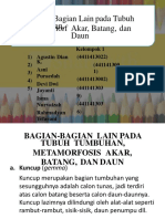 8slecture Organmetamorfosis Kelompok1 150328064825 Conversion Gate01 (1)