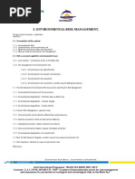 Environmental Risk Aug en