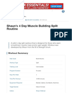 Shaun's 4 Day Muscle Building Split Routine - Muscle & Strength