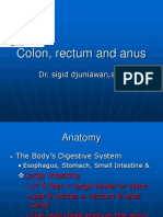 Colon, Rectum and Anus