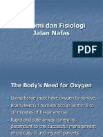 Anatomi Dan Fisiologi Jalan Nafas