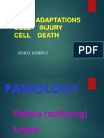 Cellular Adaptation Injury Death D318 JSW