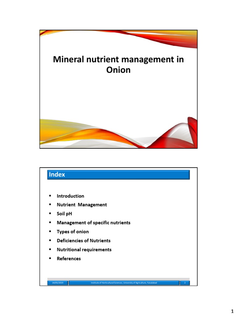 Mineral Nutrient Management in Onion PDF Onion Soil