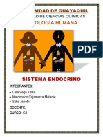 Sistema Endocrino Keyla