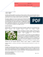 Oregano 2013 03mar PDF