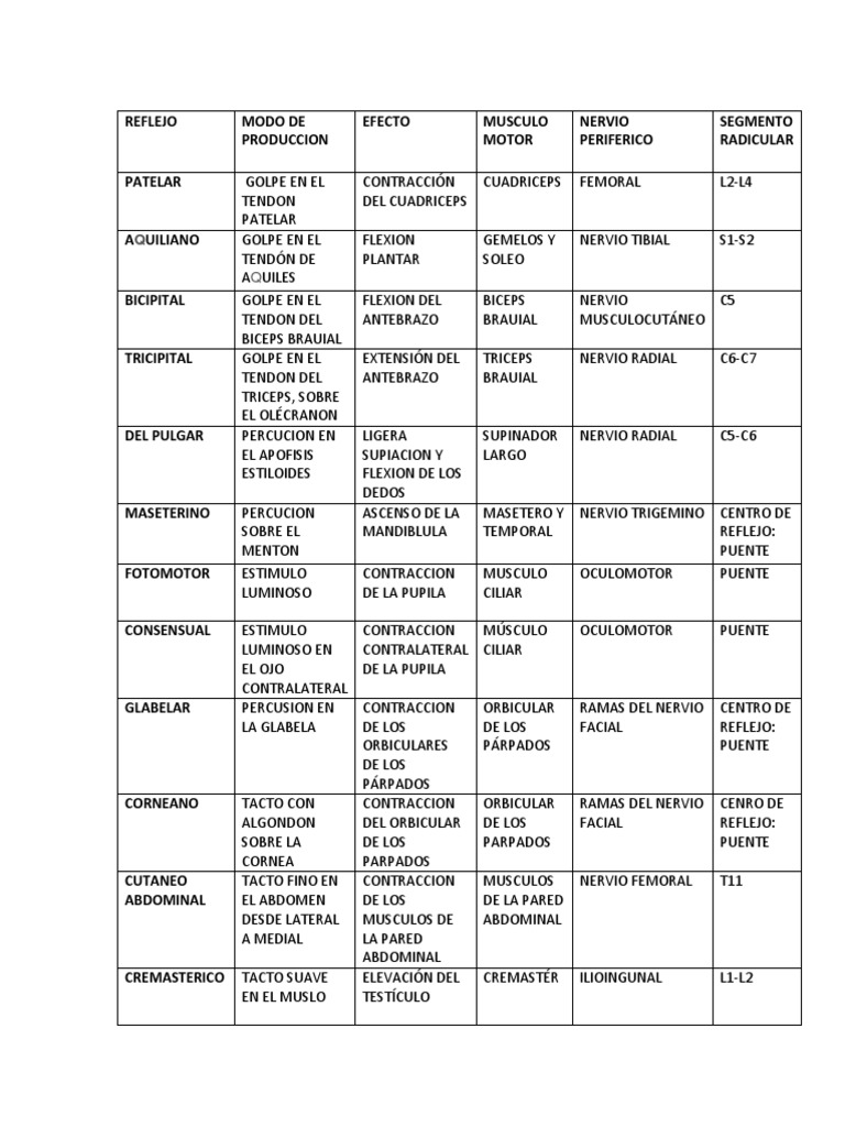 Clasificación y Tipos de Reflejos | PDF | Contracción muscular | Músculo