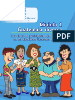 Capacitación Electoral Módulo 01, Guatemala Diversa, TSE Guatemala 2019