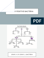 Gram Negative