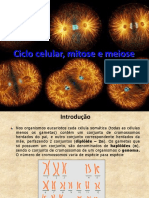 Ciclo Celular Mitose e Meiose JKVHSQD