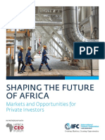 Shaping The Future of Africa: Markets and Opportunities For Private Investors