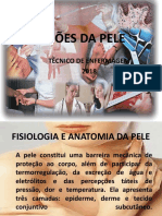 Lesões Da Pele