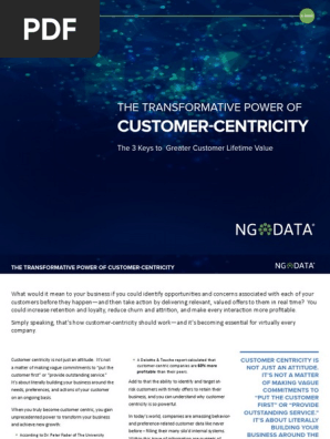Customer Centricity Pdf Analytics Big Data