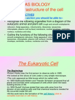 Ultrastr of The Cell