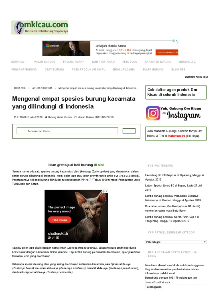 31++ Harga burung opior jawa terupdate