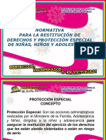Presentacion Normativas de Protección Especial 