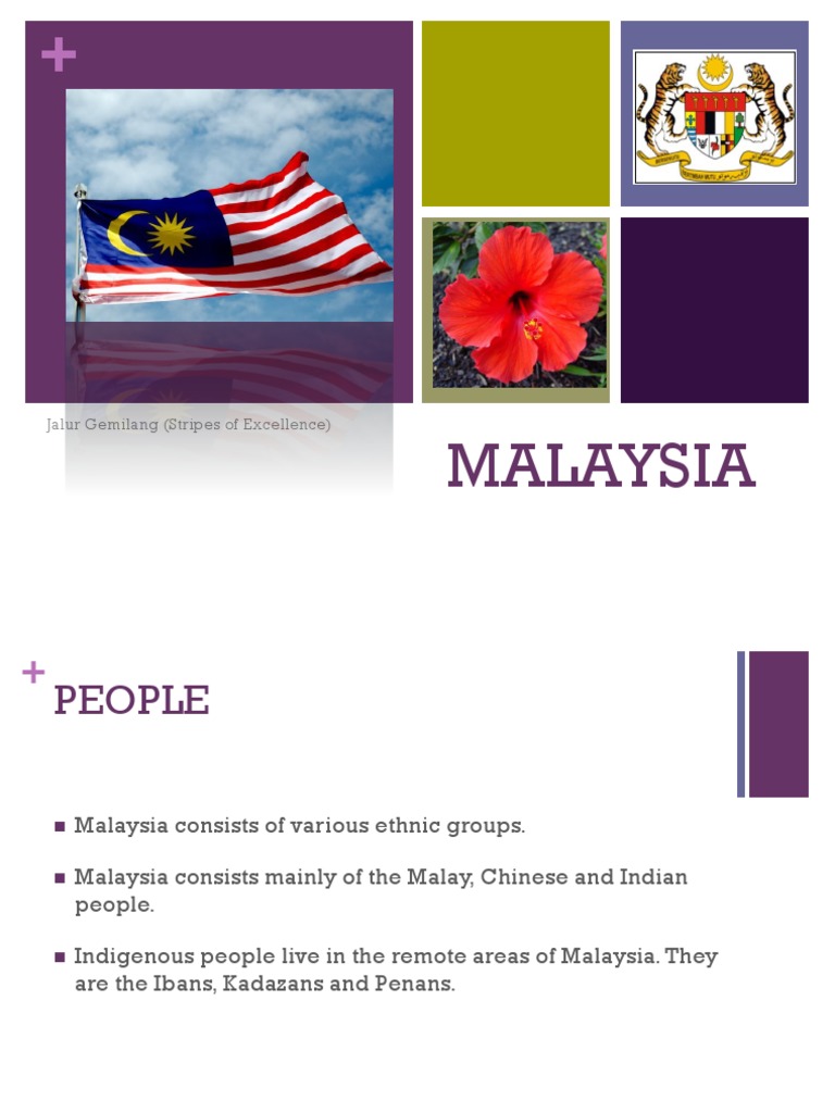 Discover Malaysia's Culture and Diversity | PDF