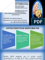 Neuroplasticidad Cerebral