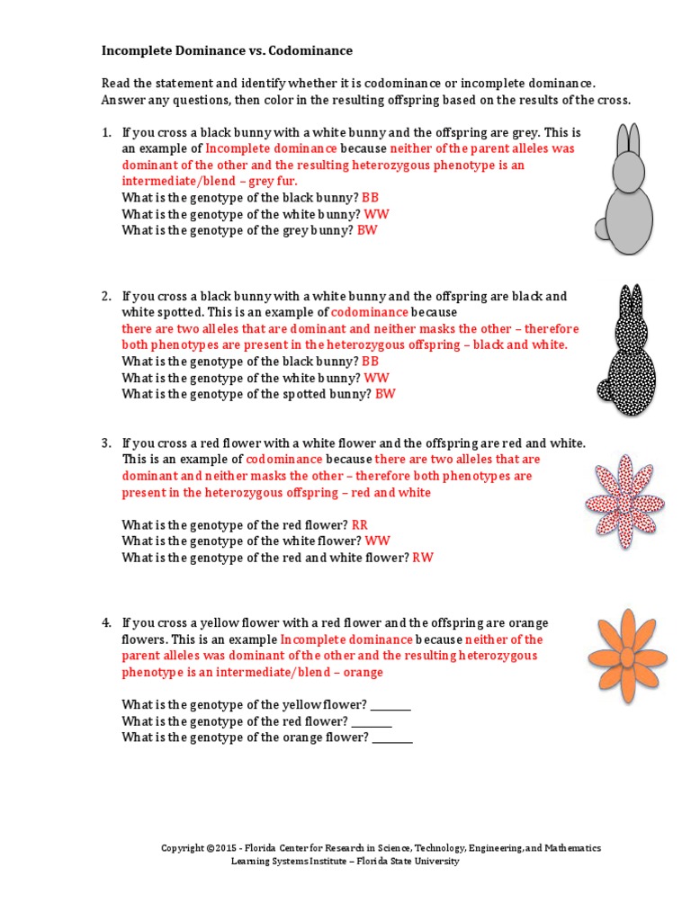 incomplete-dominance-vs-co-dominance-key-pdf-dominance-genetics-genotype