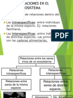 Cadena Alimentaria