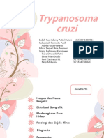 Trypanosoma Cruzi