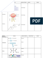 WebQuest Chart.docx