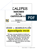 Resumen Capitulos 1 - 13 PDF