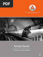 servicosocial2b-111017125850-phpapp02