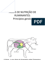 Aulas de Nutrição de Ruminantes Anatomia e Fisiologia Do Trato Gastritestinal 65