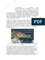 Crocodylia – Wikipédia, a enciclopédia livre