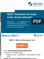 NEST: Simulator For Large-Scale Neural Networks