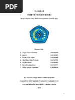 Laporan Praktikum Imunnologi Hsv Igm