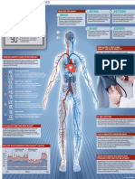 Hypertension 4 Retina Arteries 2: The Facts Explained