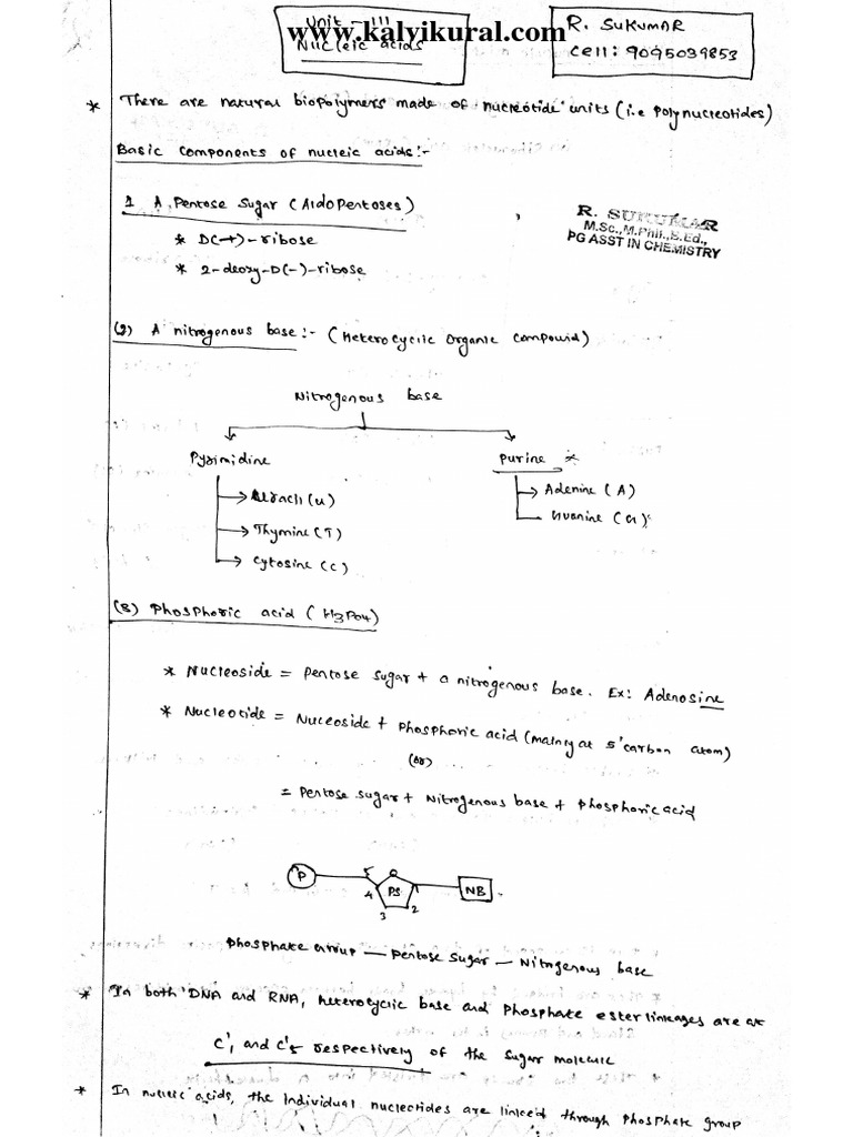 SWS | PDF