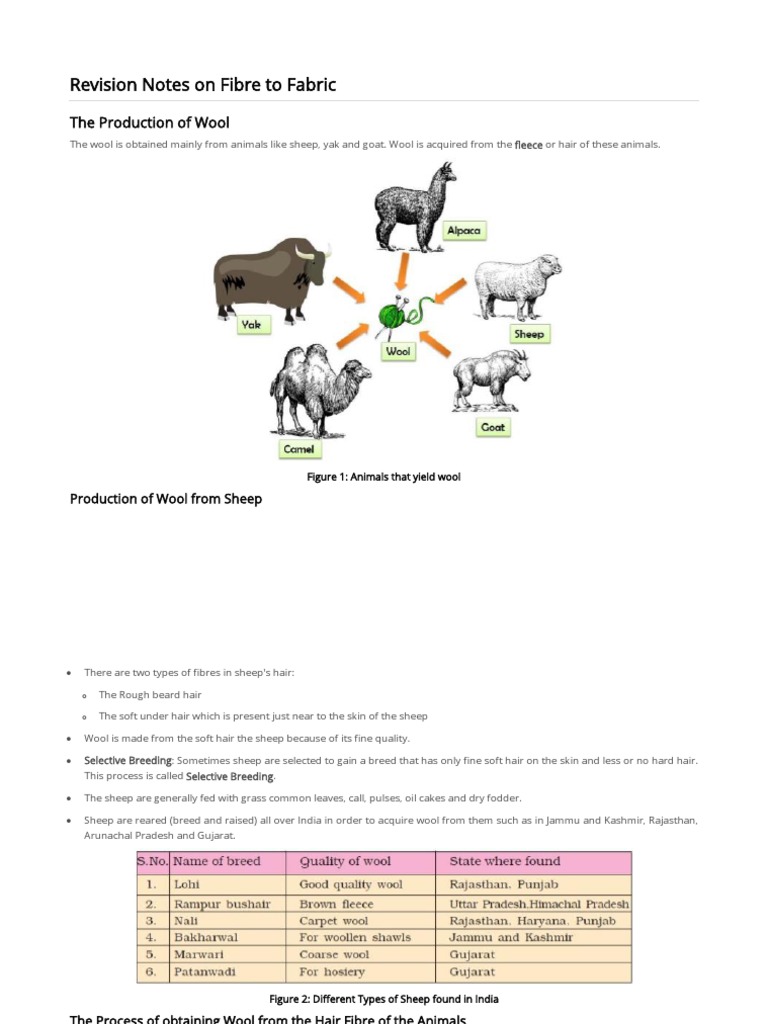 Wool Production Process for Class 7 | PDF | Silk | Wool