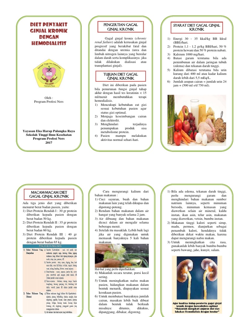 Gagal Ginjal Kronis Pdf