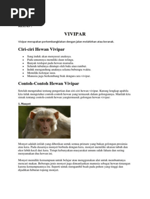 Hewan Vivipar Disebut Juga Hewan Mamalia Karena Coba Hewan Vivipar Disebut Juga Hewan Mamalia Karena Coba