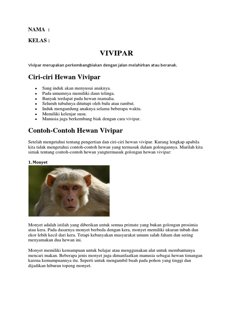 Vivipar 1 Pdf