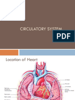 Anatomy of Heart