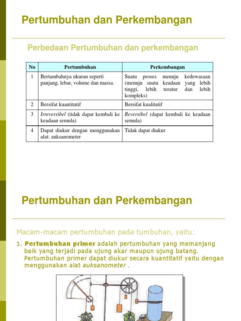 Pertumbuhan primer yang terjadi pada batang berikut tahapan yang terjadi pada gambar 1 2 dan 3 adala