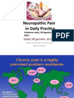 Neuropathic Pain in Daily Practice: Teddy Wijatmiko, DR - SP.S