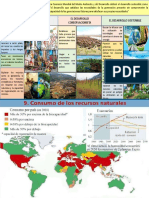 contaminacion ambiental