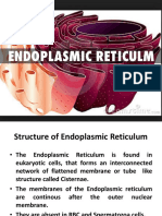 Endoplasmic Reticulum