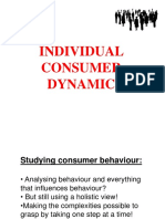 Individual Consumer Dynamic