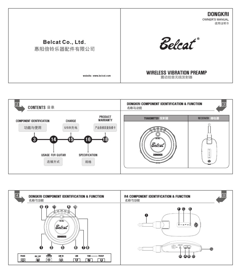 Manual Belcat | PDF | Guitars | Electronics