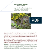 San Diego Turtle & Tortoise Society: Russian Tortoise Care Sheet